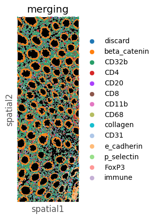 ../../_images/notebooks_CoreImagingPipeline_SpatialAnalysis_16_0.png